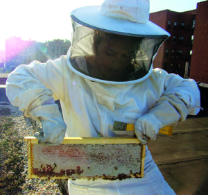 Zan Asha works her rooftop beehives. Photo by Zan ASha.