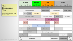 The Beekeeping Year Chart