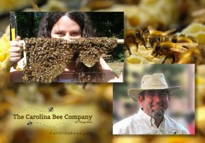 The Carolina Bee Company