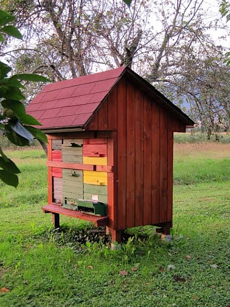 The Slovenian Beehive Arrives in the US Keeping Backyard Bees