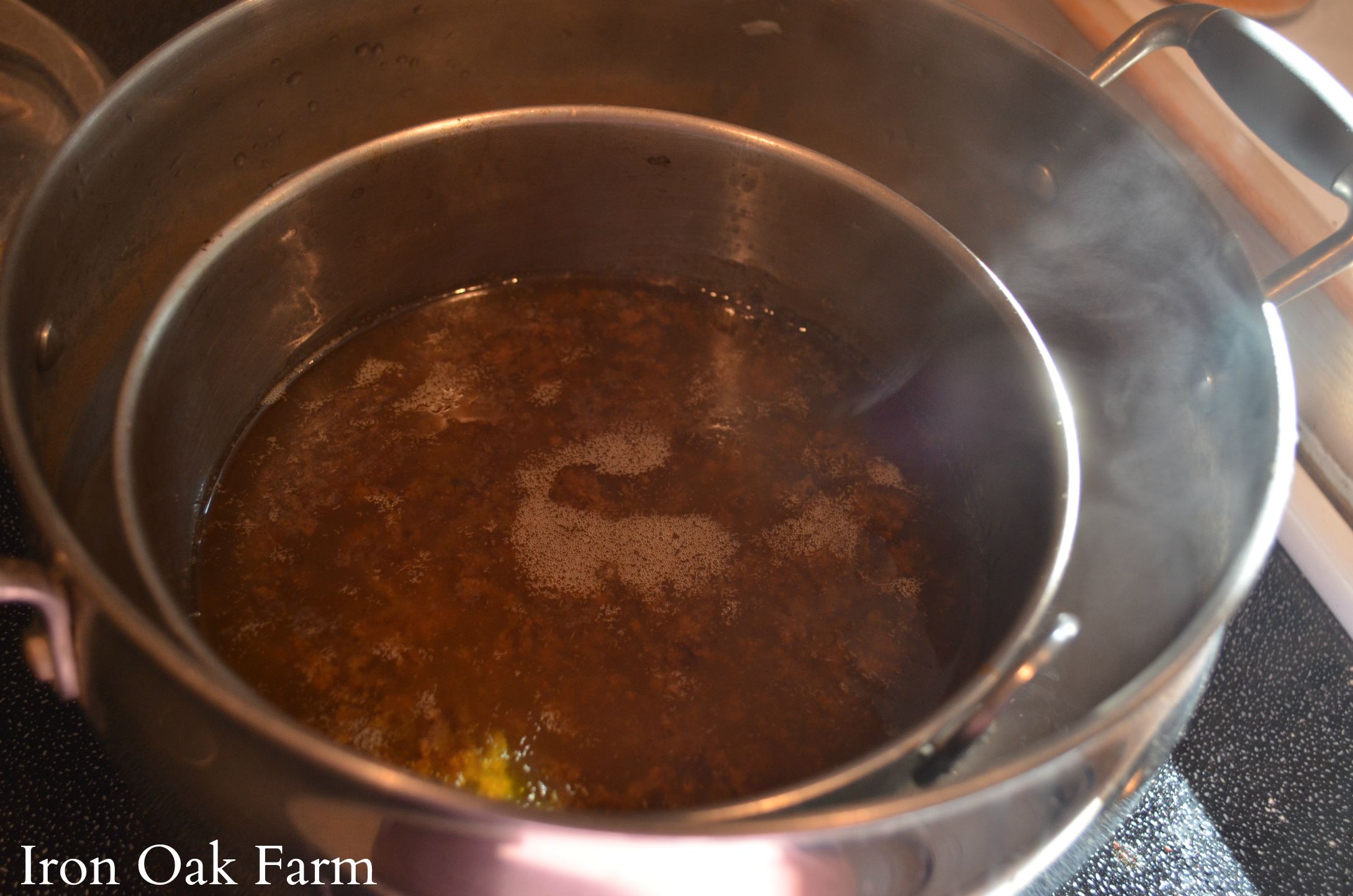 Wmdsc 0047 Keeping Backyard Bees