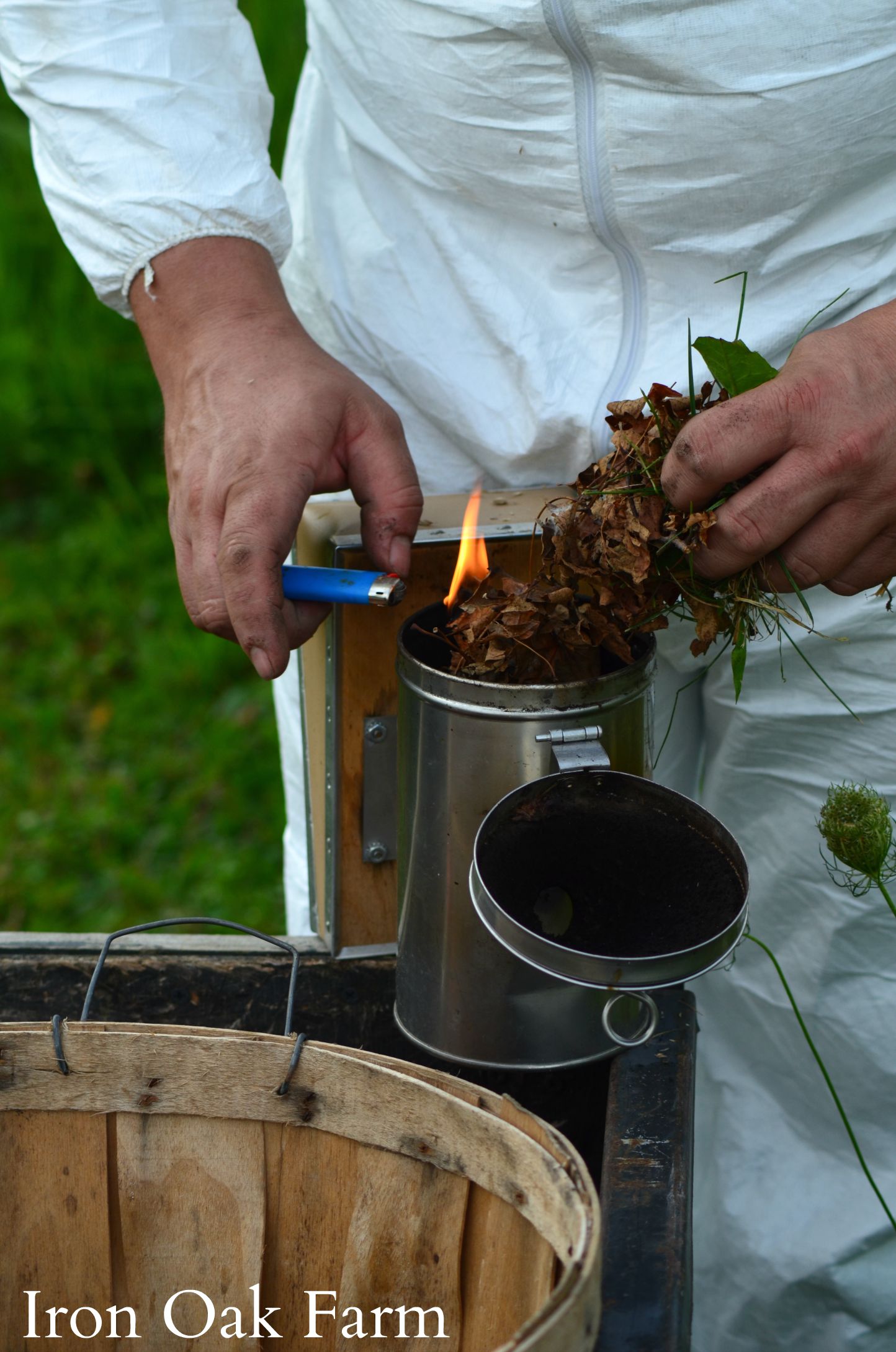Split Hive Success Keeping Backyard Bees