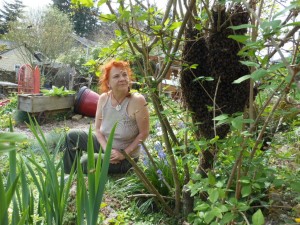 My friend Pixie marvels at the first of 10 swarms in my backyard last spring. Not one neighbor noticed a thing---Don't people look up anymore?