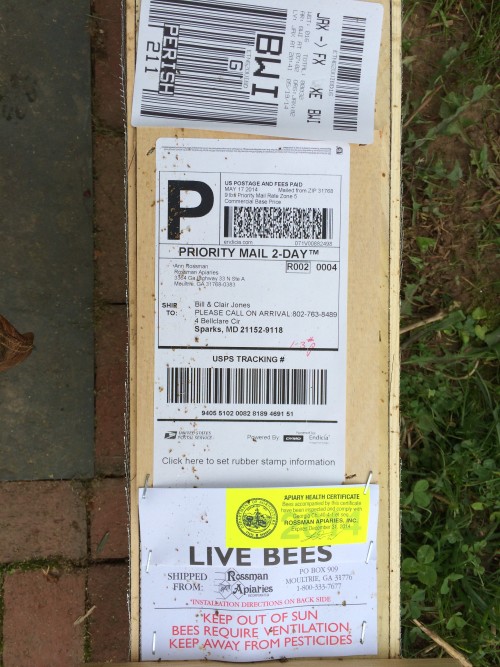 A package of bees is mailed to you 