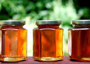 Bees-MCaughey-honeyextract2