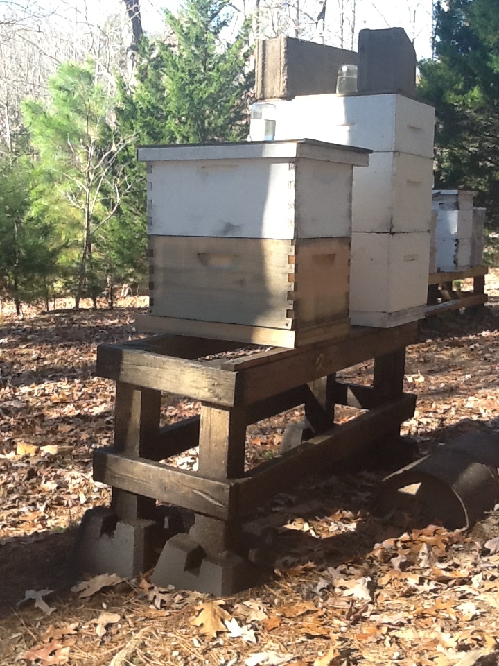 Hive stand legs painted with burnt motor oil.