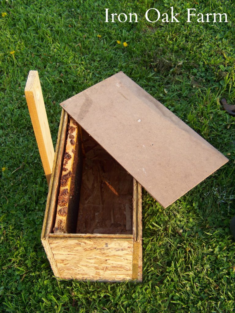 How To Build a Swarm Box Keeping Backyard Bees