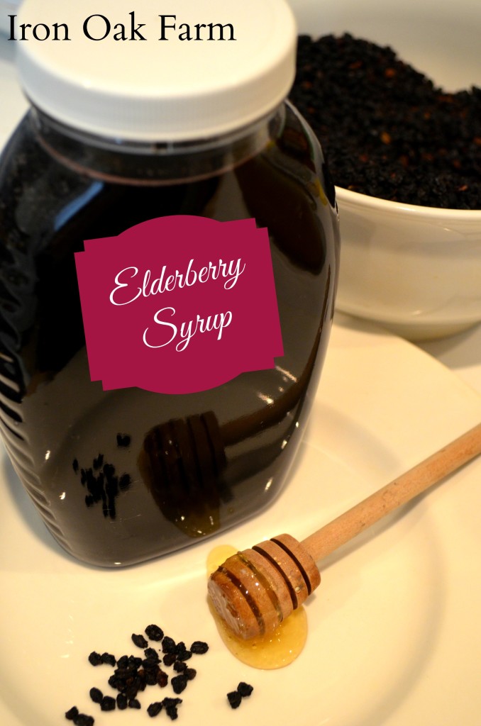 Elderberry Syrup Keeping Backyard Bees